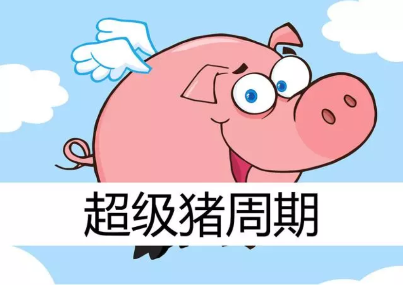2019年下半年豬價(jià)預(yù)測(cè)：7、9月兩次大漲，第四季度將達(dá)到頂峰